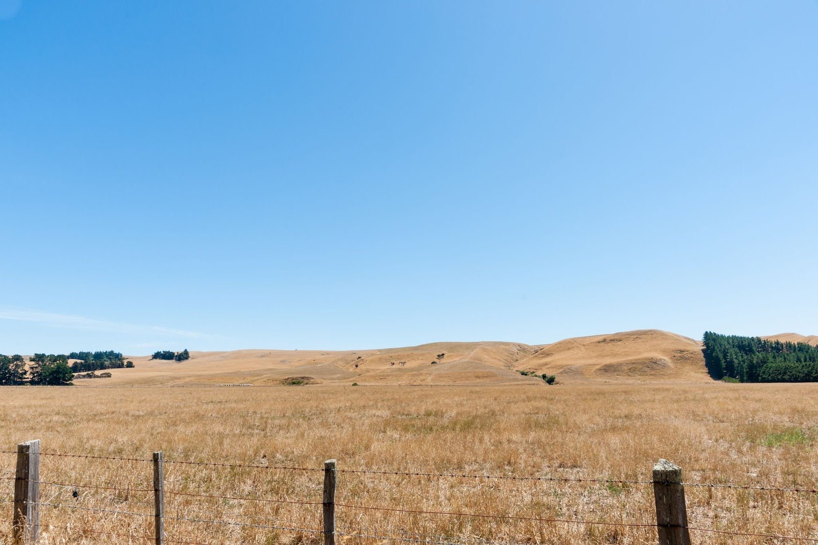Why Plastic Water Tanks Are Essential For New Zealand's Drought Season - Rural Water