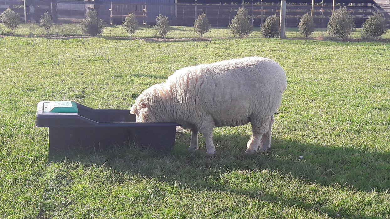 RX Plastics Rectangular Super Trough 100L - Rural Water