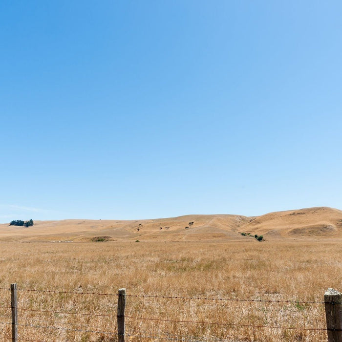 Why Plastic Water Tanks Are Essential For New Zealand's Drought Season - Rural Water